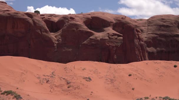马儿在远离沙漠悬崖的地方吃草 — 图库视频影像