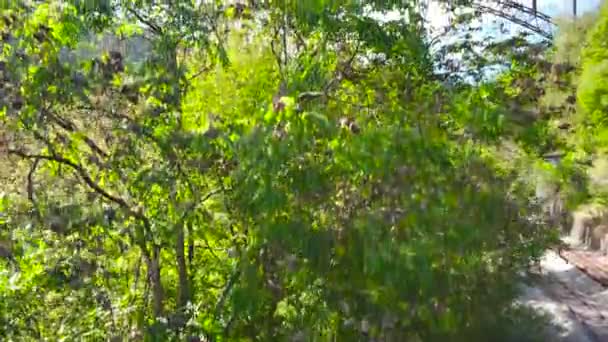 Aumento Del Disparo Aéreo Del Puente Garganta Del Nuevo Río — Vídeos de Stock