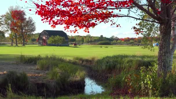 Pretty Old Barn Farmhouse Fall Rural Maine — Stock Video