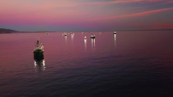 캘리포니아 해안에서 스포트라이트에 의하여 조명을 초대형 오징어 어부들 — 비디오