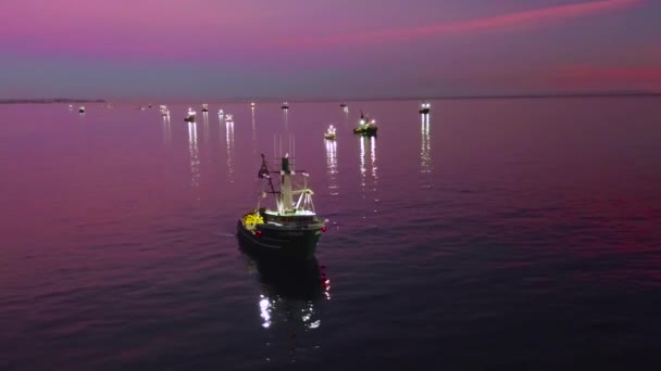 Letectvo Rybářů Olihní Rybářskými Čluny Osvětlené Jasnými Reflektory Pobřeží Malibu — Stock video
