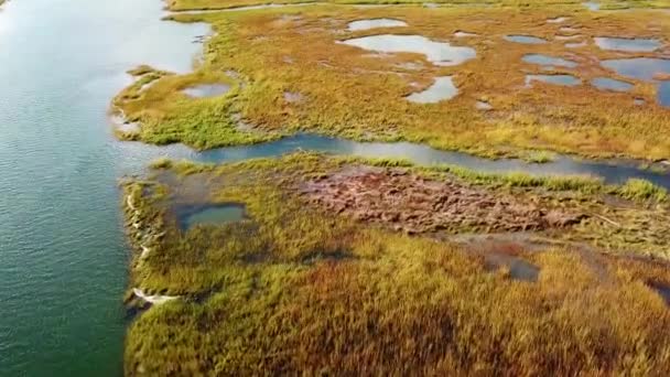 Luchtfoto Uitgestrekte Moerassen Langs Nonesuch River Bij Portland Maine New — Stockvideo