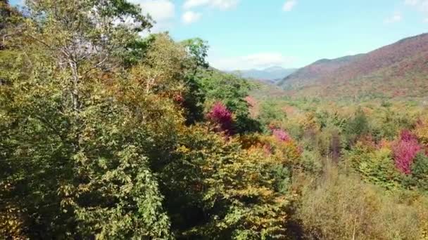 Aerial New Hampshire Forests White Mountains Washington Distant — Stock Video