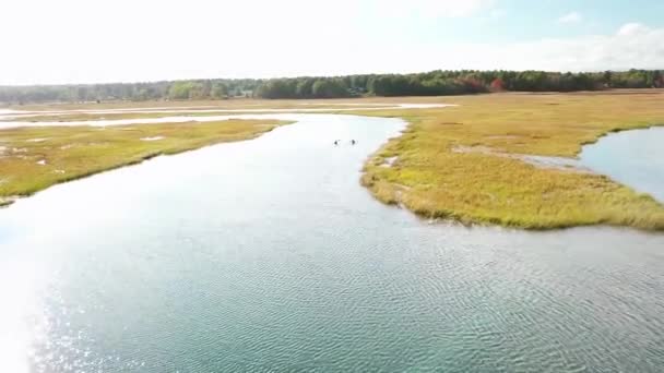 ニューイングランドのメイン州ポートランド近くのノネッシュ川沿いの広大な沼を流れるカヤックの上に空中 — ストック動画