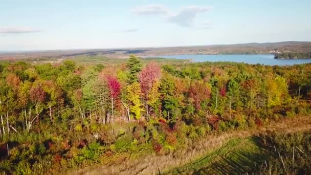 Aerial Felett Hatalmas Erdők Őszi Lombozat Szín Maine Vagy New — Stock videók