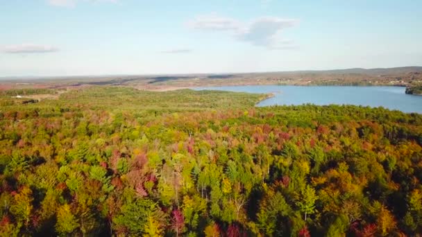 メイン州またはニューイングランドの紅葉や色の広大な森林の上に空中 — ストック動画