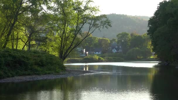 Μια Γραφική Αγροτική Σκηνή Δίπλα Μια Λίμνη Ποτάμι Στη Νέα — Αρχείο Βίντεο