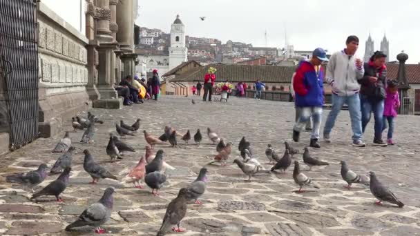 Voetgangers Lopen Keienstraten Van Quito Ecuador Met Duiven Voorgrond — Stockvideo