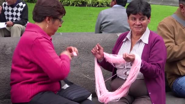 Two Women Knit Sew Park Quito Ecuador — Stock Video