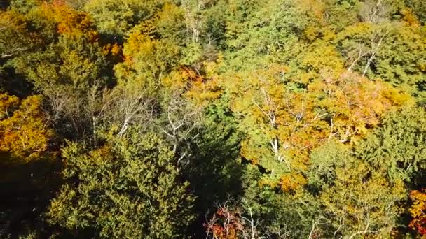 在新罕布什尔州的森林和白山上空飞行 远在华盛顿 — 图库视频影像