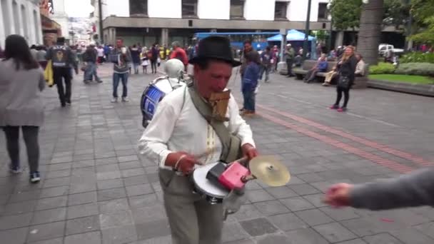 1人の男性バンドのミュージシャンがキト エクアドルの通りを歩いて音楽を作る — ストック動画