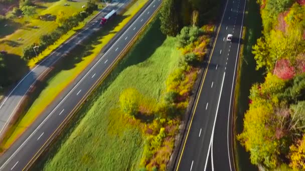 Aéreo Carro Viajando Uma Estrada Através Nevoeiro Outono — Vídeo de Stock