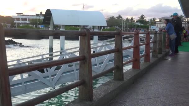 Ein Seelöwe Schläft Auf Einer Öffentlichen Bank Einem Hafen Auf — Stockvideo