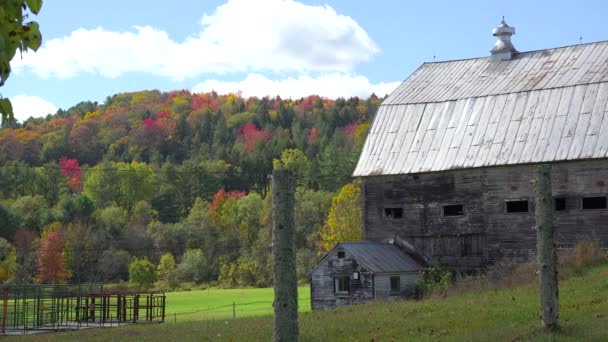 Sebuah Gudang Dan Rumah Pertanian Yang Cukup Tua Pedesaan Vermont — Stok Video
