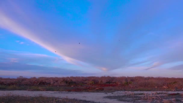 Sudut Yang Lebar Dari Kepulauan Galapagos Dengan Burung Burung Terbang — Stok Video