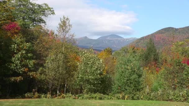 Colpo Stabilente Delle Foreste Rurali Del New Hampshire Delle Montagne — Video Stock