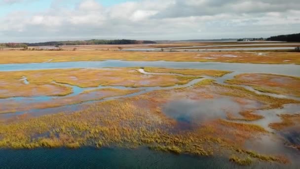 新英格兰波特兰附近的非塞萨河沿岸的巨大沼泽上空 — 图库视频影像