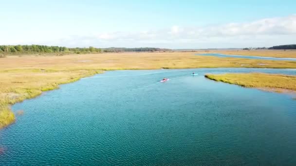 Aéreo Sobre Kayakers Remando Através Vastos Brejos Longo Rio Nonesuch — Vídeo de Stock