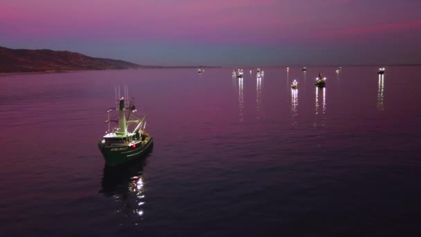 Letectvo Rybářů Olihní Rybářskými Čluny Osvětlené Jasnými Reflektory Pobřeží Malibu — Stock video