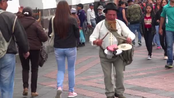 Egy Egyszemélyes Zenész Sétál Quito Ecuador Utcáin Zenélni — Stock videók