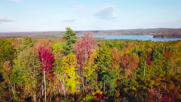 Maine New England Sonbahar Yeşillik Renklerinden Oluşan Engin Ormanların Üzerindeki — Stok video