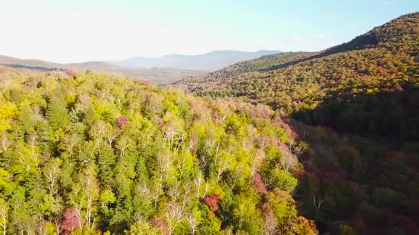 Воздух Над Обширными Лесами Осенней Листвы Цвета Вермонте Новой Англии — стоковое видео