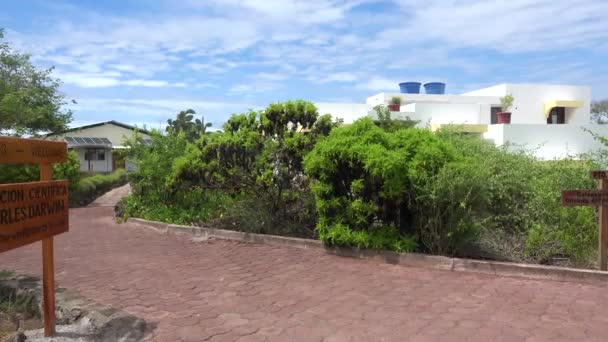 Καθιέρωση Του Ερευνητικού Σταθμού Charles Darwin Στο Puerto Ayora Galapagos — Αρχείο Βίντεο