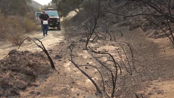 Homme Distribue Des Blocs Sel Pour Aider Nourrir Faune Déplacée — Video