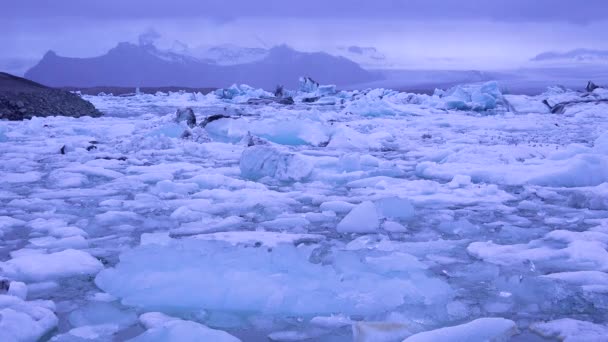 氷河湾に位置する氷山は アイスランドのジョクルサロン氷河ラグーンでの北極での地球温暖化を示唆しています — ストック動画