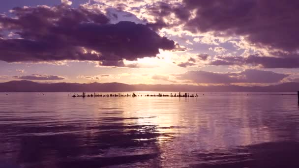 ネバダ州タホ湖グレンブルックの放棄された桟橋杭の後ろの美しい夕日 — ストック動画