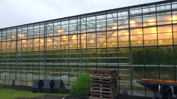 Exterior Establishing Shot Iceland Greenhouse Using Geothermal Hot Water Grow — Stock Video