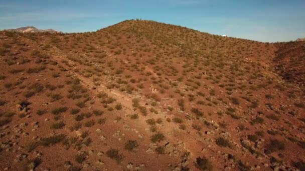 巨大な太陽光発電アレイを見下ろす丘の上に立っている写真家のドローン航空機 プリム ネバダ州 — ストック動画