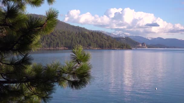 Bonita Toma Establecida Las Orillas Del Lago Tahoe Nevada Con — Vídeos de Stock