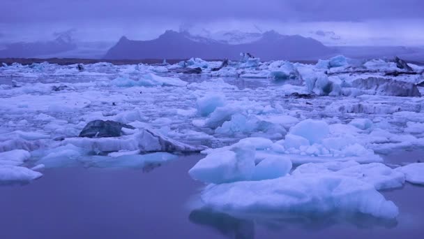 Pan Attraverso Iceberg Seduti Una Baia Glaciale Suggerendo Riscaldamento Globale — Video Stock