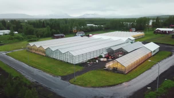 Drone Aerial Establishing Shot Iceland Greenhouse Using Geothermal Hot Water — Stock Video