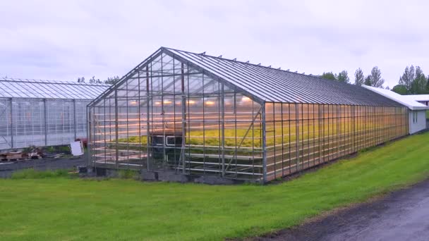 Exterior Establishing Shot Iceland Greenhouse Using Geothermal Hot Water Grow — Stock Video