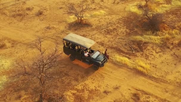 Eccellente Aerea Una Jeep Safari Che Viaggia Sulle Pianure Africane — Video Stock