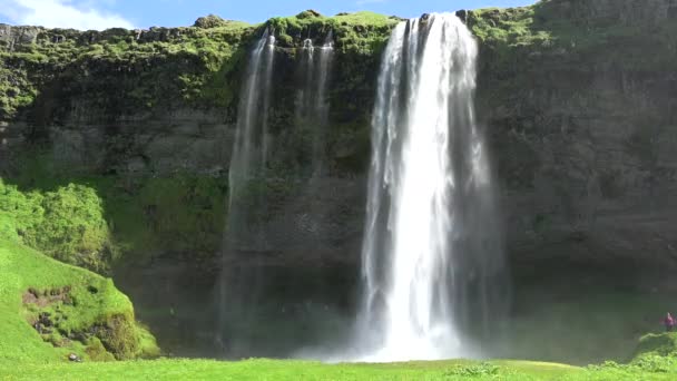アイスランドの信じられないほどのSeljalandsfoss滝は壮大な崖の上に落ちます — ストック動画