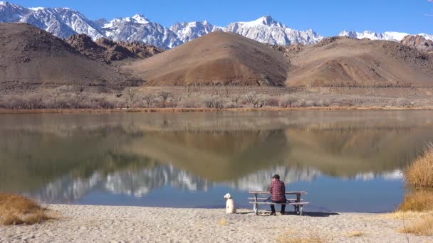 Homem Seu Cão Desfrutar Belo Dia Lago Base Monte Whitney — Vídeo de Stock