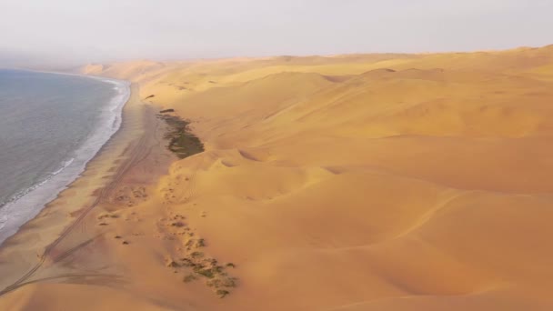 Goede Hoge Luchtopname Boven Uitgestrekte Zandduinen Van Namibische Woestijn Langs — Stockvideo