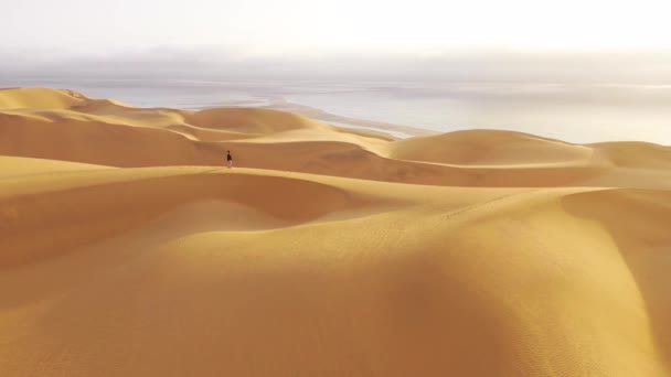 ナミビアのナミブ砂漠の美しい砂丘の上に立つ女性モデルの上に立つ空中スケルトン海岸の背景 — ストック動画