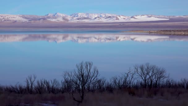 Mono Gölü Kaliforniya Kıyıları Boyunca Soğuk Bir Manzara — Stok video