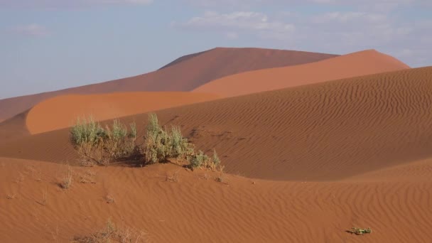 Establecimiento Plano Del Parque Nacional Namib Naukluft Desierto Namib Enormes — Vídeos de Stock