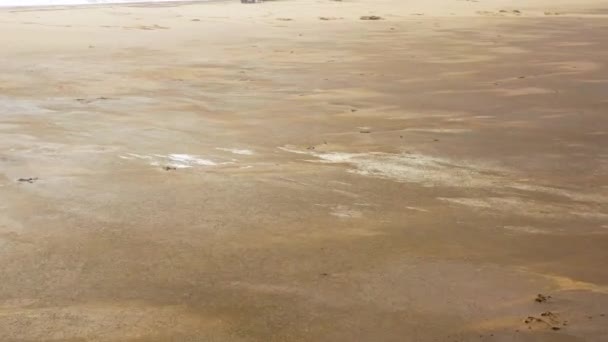 Otroligt Flygfoto Knölval Som Ligger Övergiven Strand Längs Skelettkusten Namibia — Stockvideo