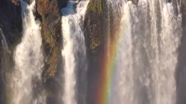 Hermoso Cerca Establecer Tiro Con Arco Iris Victoria Falls Selva — Vídeos de Stock