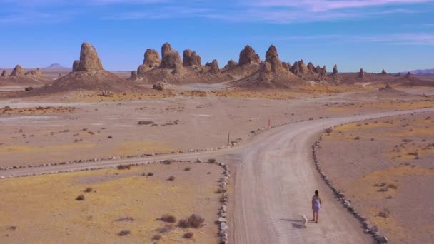 Kvinna Och Hund Går Längs Grusväg Vid Trona Pinnacles Klippformationer — Stockvideo