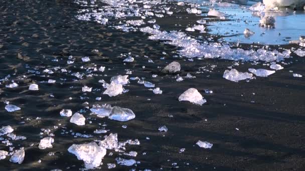 氷山は アイスランド 研磨され 宝石のように輝く黒砂のダイヤモンドビーチ ジョクルサロンに座っています — ストック動画