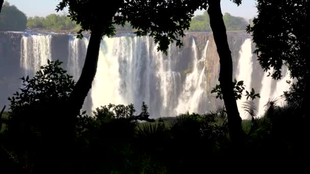 Belo Estabelecimento Tiro Victoria Falls Selva Lado Zimbábue Cachoeira Africana — Vídeo de Stock