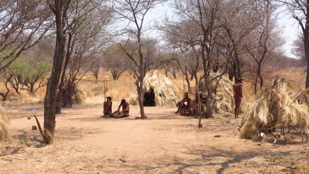 Familia Africana Bosquimanos Tribu San Sus Chozas Una Pequeña Primitiva — Vídeos de Stock