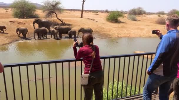 Los Turistas Toman Fotos Elefantes Bañándose Abrevadero Desde Balcón Del — Vídeo de stock